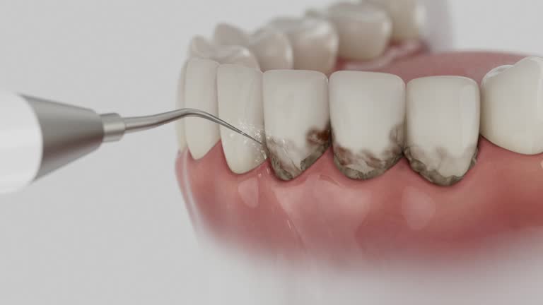 Reliable Dental contractor in Hattiesburg, MS by Dentist Open Now